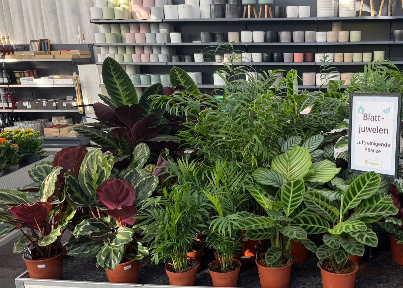 Monheimer Blumenmarkt